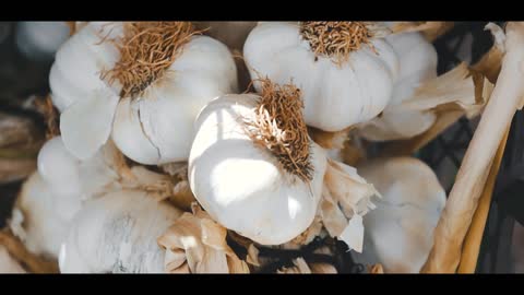 Incredible Health Benefits of Garlic | لہسن کے حیرت انگیز فائدے