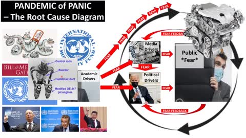 This Pandemic of Panic - EXPLAINED SIMPLY by Ivor Cummins