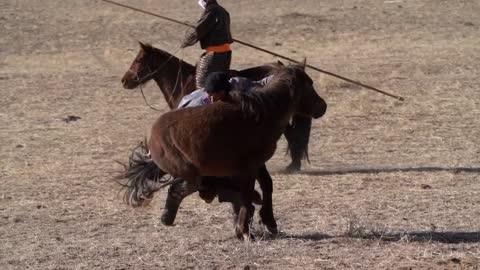 Life on the Mongolian steppe series 1