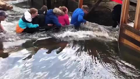 Unique, traditional rafting on Wild