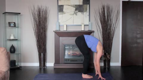 yoga - standing forward bend