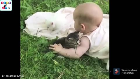 Cute kids and pets funny video so suite