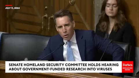 'Now You've Been Caught Red-Handed!': Josh Hawley Accuses Doctor Of Lying To Quash Lab Leak Theory