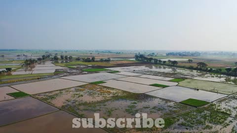 aerial view Rice field Terraces panoramic hillside with rice farming on mountains