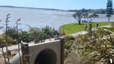 Snakes and Ladders Park Auckland New Zealand Tour