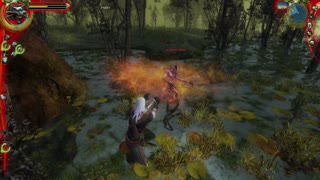 The Witcher 1 Part 5