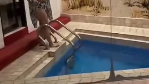 Showing Of Private Pool Gone Wrong