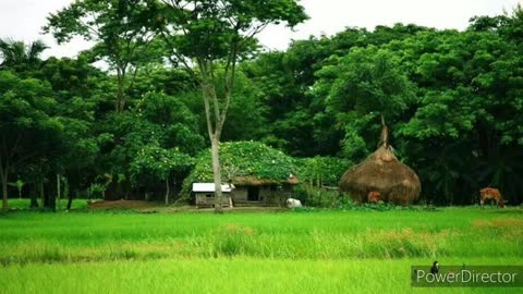 কুড়ি বছর পরে | জীবনানন্দ দাশ | Jibanananda Das | kuri bochor pore by jibanananda das