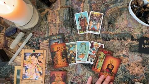 TAROT SECRETS | 2024 Election Predictions & Advice, by request