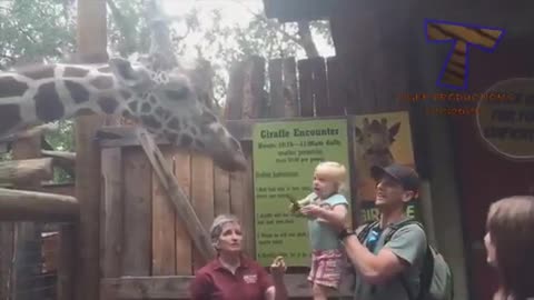 FORGET CATS! Funny KIDS vs ZOO ANIMALS are WAY FUNNIER! - TRY NOT TO LAUGH