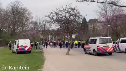 Feest in het Vondelpark