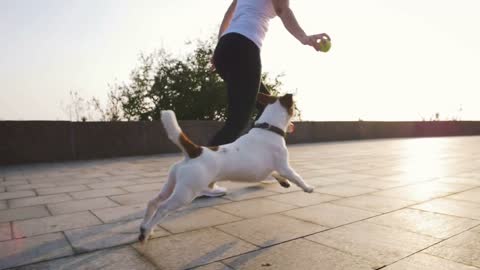 Young woman running with cute dog Jack Russel near the sea