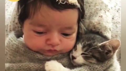 Cat and baby fanny clip## cat and baby fanny moment clip