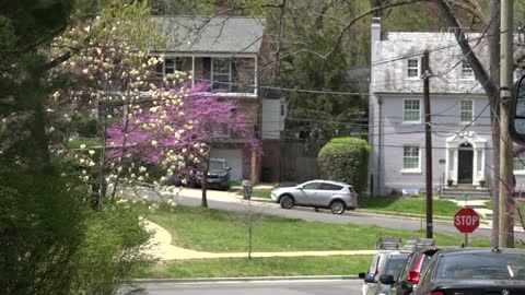 DC Celebrates Spring With Petal Porch Parade