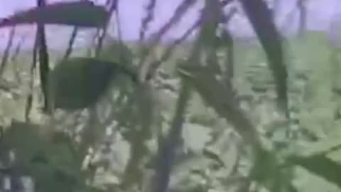 🚁💥 The moment of the downing of the Russian helicopter Ka-52 "Alligator" on