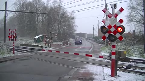 Amazing Train Crossing & Signals