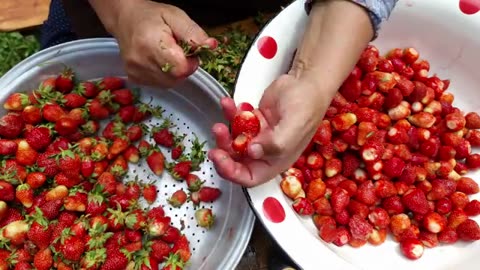 🍓 Picking Strawberries & Creating Refreshing Drinks, Cake, and Compote