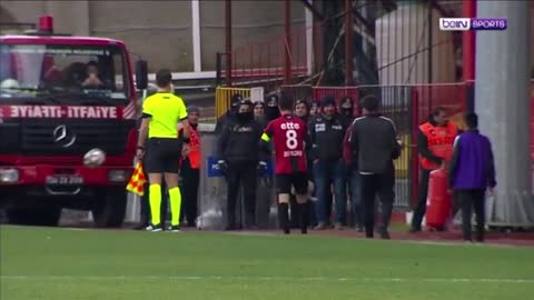 Camera capture dog enter in the ground while the football match is playing