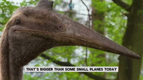 Top 10 Largest Animals to Ever Roam the Earth