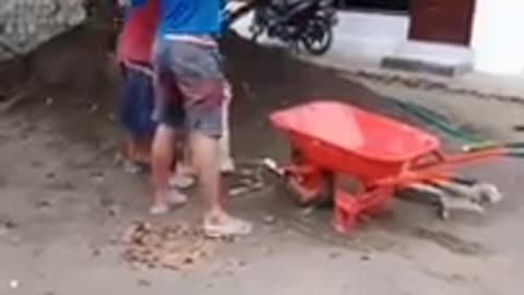 kompilasi video lucu yang bisa membuat kamu ngakak