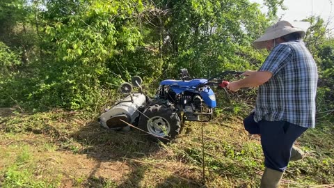 Bittante Flail mower Pulverizing Thorns and brambles