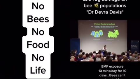 EMF/ 5G damage on bees🐝 populations - Dr Devra Davis