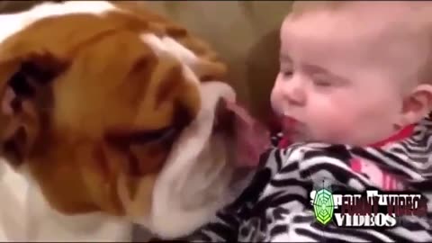 Funny baby videos