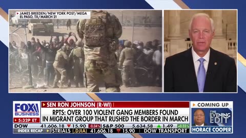 Sen. Ron Johnson: These gangs almost make ISIS look like choir boys