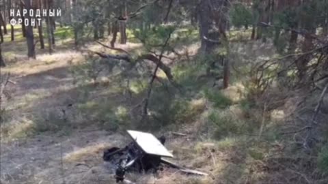 Russian soldiers caught a Ukrainian drone “Baba Yaga” on a live feed. 1