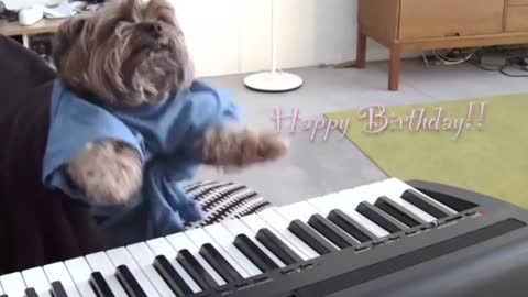 play that birthday, keyboard dog_batch