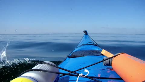 Kayak vs Waves