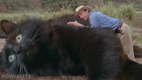 Jurassic Park but with a Cat