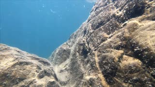 Snorkeling the Chetco River in Southern Oregon.