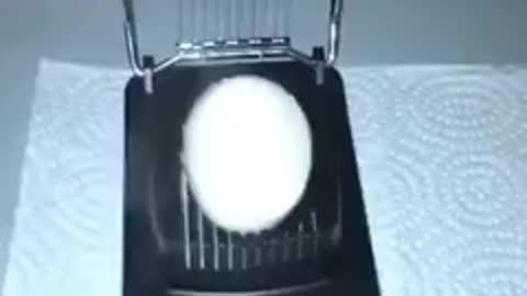 Egg Explodes