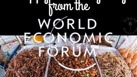 Wef brings you thanks