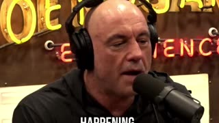 Joe Rogan and Bret Weinstein Discuss Excess Deaths and Injuries