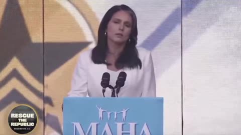 Tulsi Gabbard: "They are throwing everything that they can at us to undermine our democracy