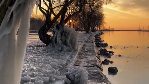 WHEN THE ICE TAKES OVER REAL NATURE ~BALATON HUNGARY