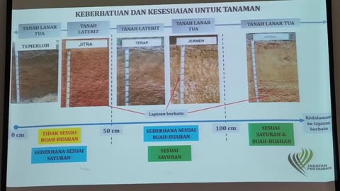 P07 Sifat Tanah & Penilaian Kesesuaian Tanah Untuk Tanaman, Kalumpang, 26 Jun 2024