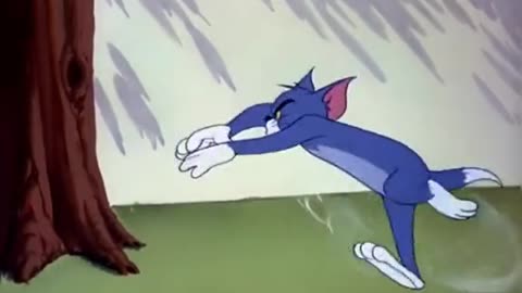 Tom and Jerry