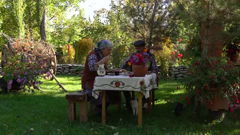 Mountain to Table: Foraging and Cooking Mushrooms in Shahdag