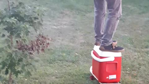 Redneck skateboarding