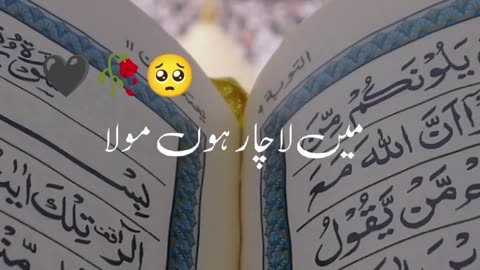 🥰❤#islam #viral #shorts #youtubeshorts #naat #trending #shortvideos