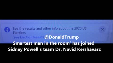 Smartest man in the room' has joined Sidney Powell's team Dr. Navid Kershavarz-Nia