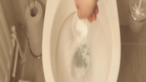 Dump WASHING POWDER into your Toilet and WATCH WHAT HAPPENS 💥