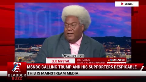 MSNBC Calling Trump And His Supporters Despicable