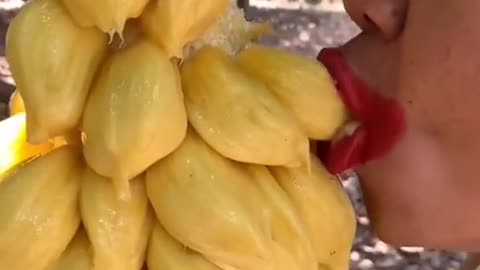 Lucu sekali cara makan buah nangka nya, apakah ada yang bisa 🤣