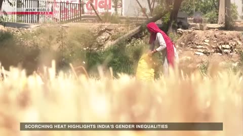 Scorching heat highlights India's gender inequalitiesーNHK WORLD-JAPAN NEWS