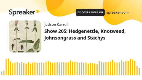 Show 205: Hedgenettle, Knotweed, Johnsongrass and Stachys