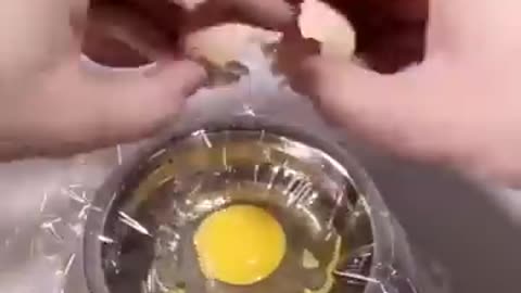 how a chick born from a egg